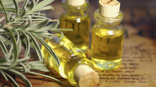 Os melhores óleos vegetais para cuidados capilares